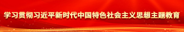 操逼小美女学习贯彻习近平新时代中国特色社会主义思想主题教育